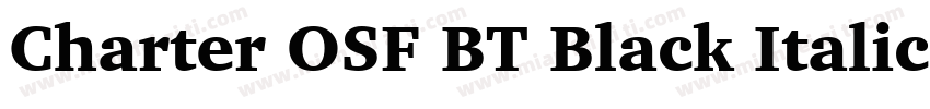 Charter OSF BT Black Italic字体转换